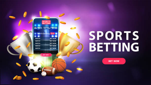 How to Make the Most of Your Online Betting Bankroll 13