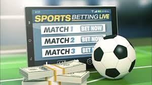 Descubra o Mundo do Entretenimento com 979bet 8