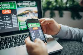 Your favorite casino providers in the digital age